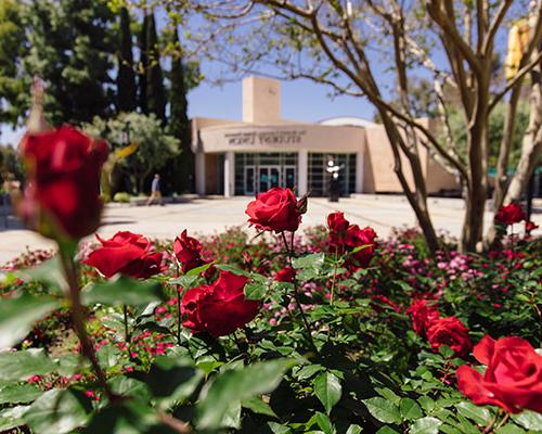 Flowers outside of the Student Union